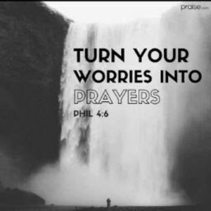 Meet your Posher, Joice